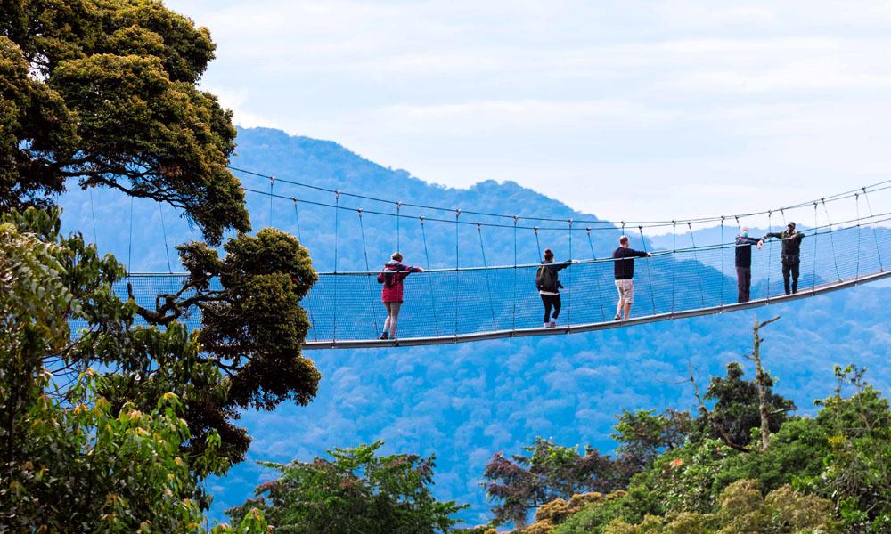 National Parks & Wildlife Tours - Rent Self Drive Rwanda