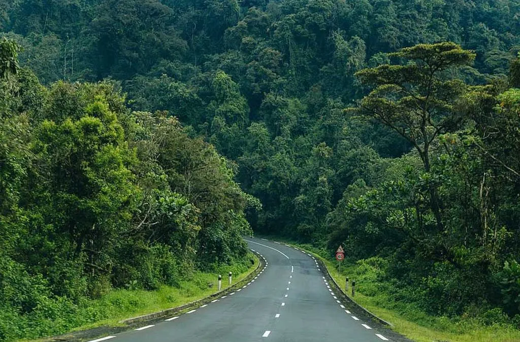 The Top 3 Self-Drive Routes in Rwanda for Photography Lovers
