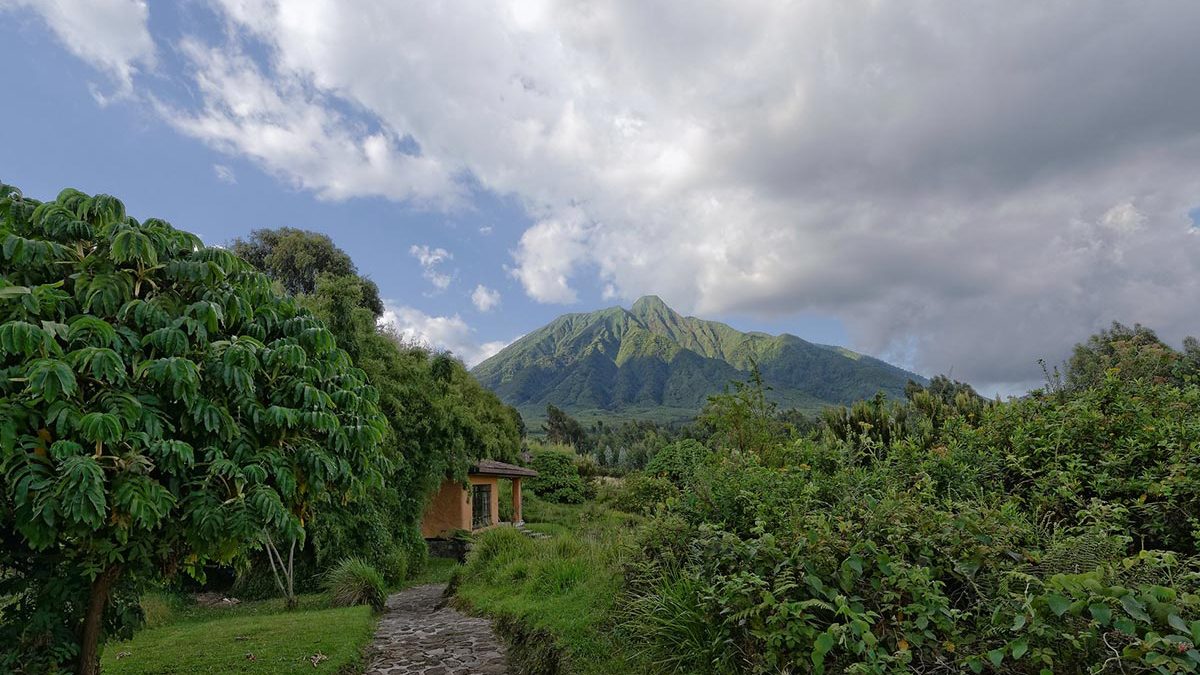 How to Prepare for a Self-Drive Tour of Rwanda’s Volcanoes National Park
