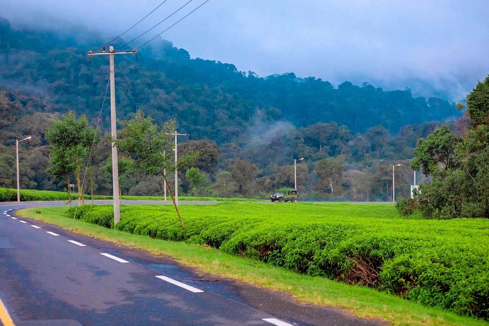The Top 5 Lakes in Rwanda to Explore by Car