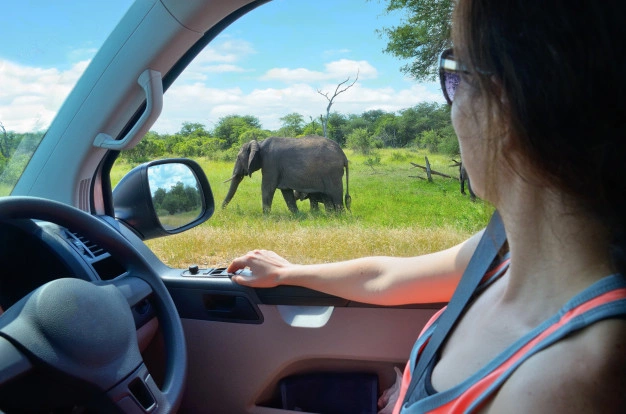 Why Self-Drive Tours in Rwanda Are the Best Way to Explore the Country