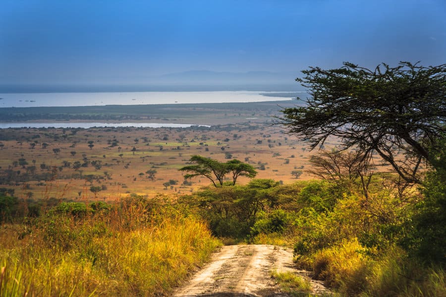 Queen Elizabeth National Park 