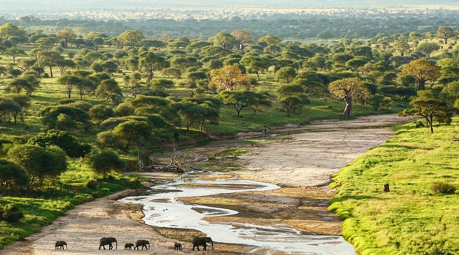 Tarangire National Park