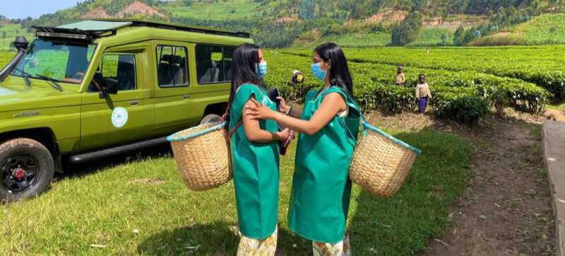 Rwanda Coffee Tour: A Caffeine Lover's Road Trip