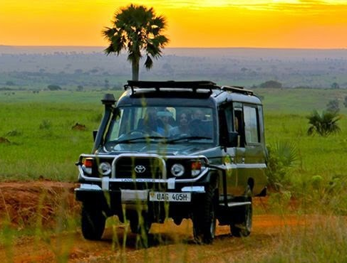 Ultimate Guide to Renting a Car in Rwanda: Everything You Need to Know in 2026