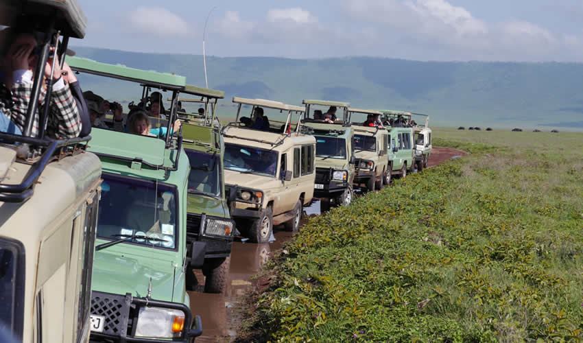 Best campsites or stops for self-drive safari in Serengeti