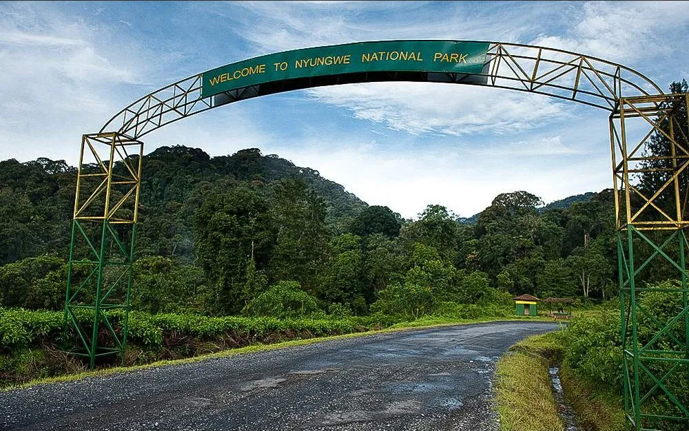 Kigali to Nyungwe driving route and time