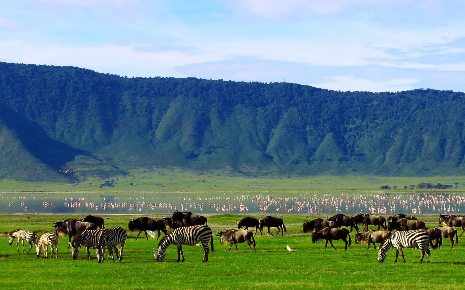 Self-Drive Through the Pearl of Africa’s Natural Wonders – The Right Places to Visit After Arrival in Rwanda