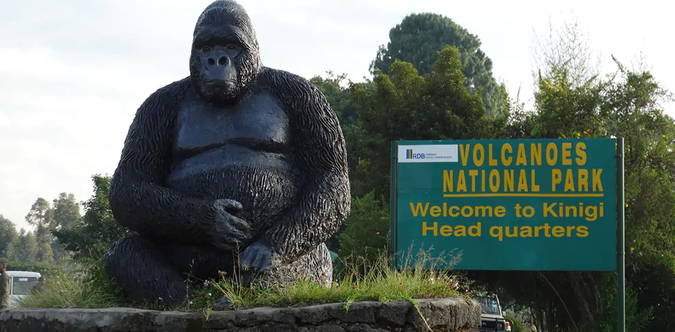 Top 5 National Parks to visit on self-drive Tour in Rwanda 