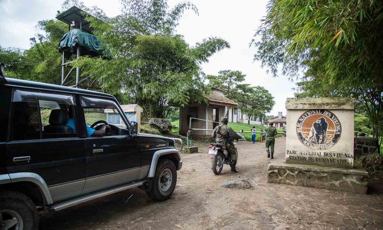 Explore Rwanda on Your Terms – Self Drive Car Hire from Kigali to Every Major Tourist Destination  