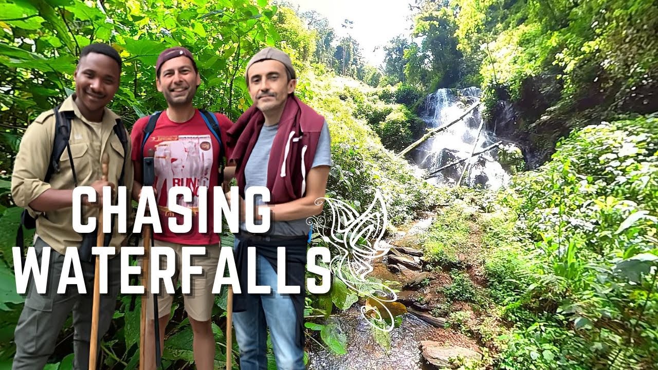 Rwanda's Hidden Waterfalls: How to Find Them by Rental Car