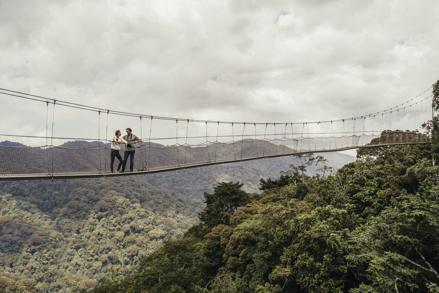Rwanda Canopy Walk at Nyungwe: How to Get There and What Vehicle to Use