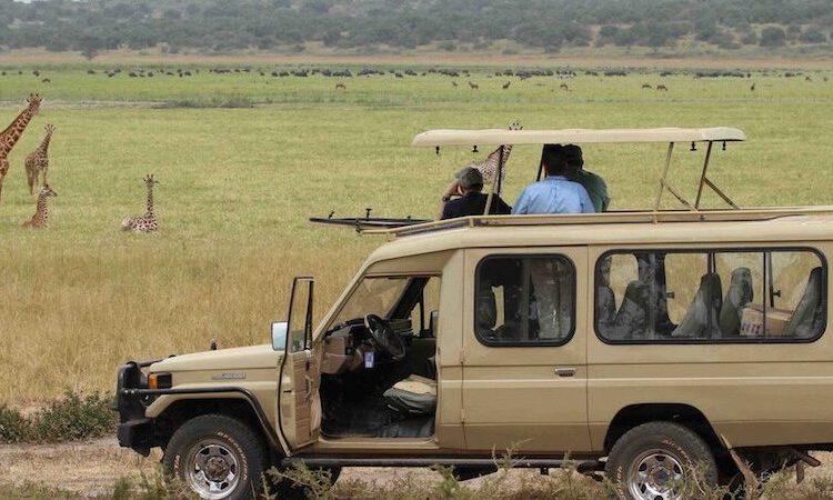 Safari Customized Land Cruiser Car Rental in Kigali Rwanda
